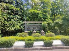 -鼎湖山风景区