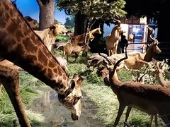 -国家自然博物馆