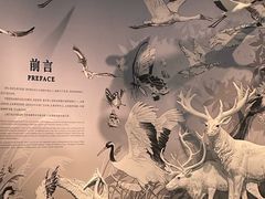 -中国湿地博物馆