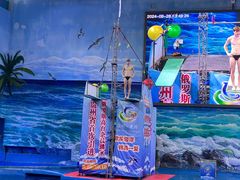 -多彩贵州城极地海洋世界