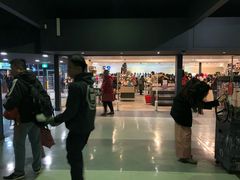 -企鹅岛