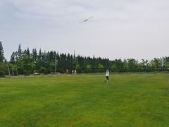 -前小桔亲子创意农场·草莓采摘·露营烧烤