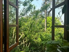 -南山植物园