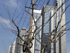 -中国移动通信集团上海有限公司