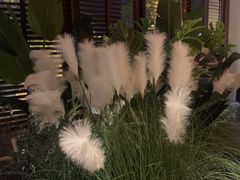 -荷栖小院·品质江西菜(红谷滩店)