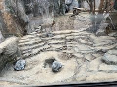 -杭州野生动物世界