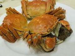 -王宝和酒家(黄浦店)