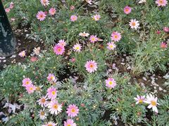 -南宫温泉水世界