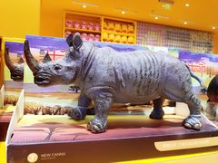 -KKV(深圳宏发大仟里店)