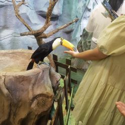 -Zoolung Zoolung动物主题公园(海信广场店)