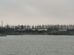 -上海都市菜园