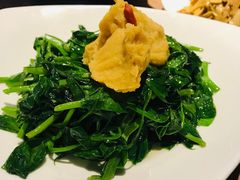 土豆泥豌豆尖-原食日记(合生汇购物中心店)