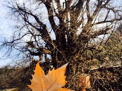 -终南山国家森林公园