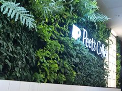 -Peet's Coffee皮爷咖啡(德基店)