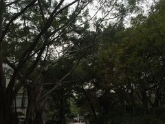 -九龙公园