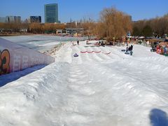 -大兴滨河森林公园