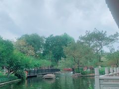 -名树园