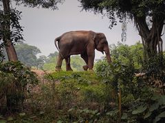 -深圳野生动物园