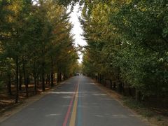 -艾山风景名胜区