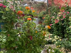 -秦美花卉(天朗·莱茵小城2期店)