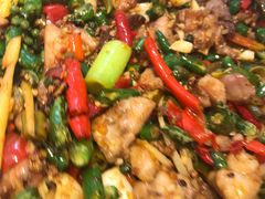 -新概念来凤鱼(璧山店)