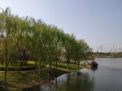 -九里河湿地公园