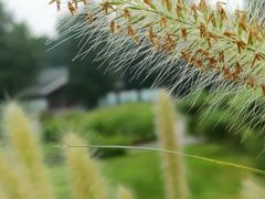 -天坛公园