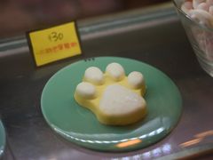 -猫咪博物馆(顶澳仔猫街店)