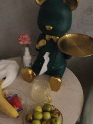 -雅曼妮spa美容养生