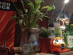 -春草居酒屋·晴子の店