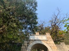 -北京鹫峰国家森林公园