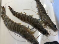 -马路边上·小海鲜烧烤(八一路店)