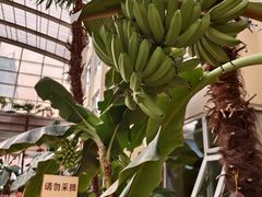 -兴芮温泉度假区