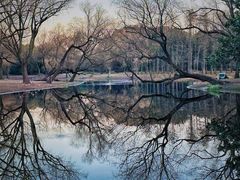 -上海共青森林公园