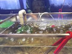 -V-ONE西雅图海鲜自助餐厅(仓山万达广场店)