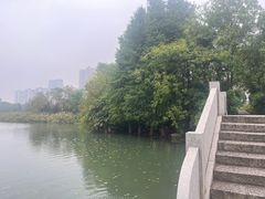 -洋湖国家湿地公园