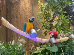 -杭州开元森泊度假乐园