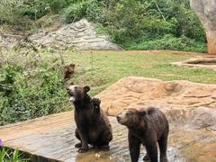 -海南热带野生动植物园