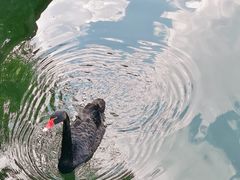 -颐和园