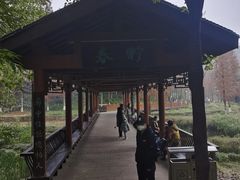 -重庆彩云湖湿地公园