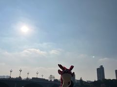 -梅园
