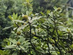 -东山风景区(洞庭东山)