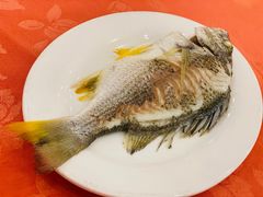 -深运潮州粥(东门店)