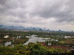 -会仙湿地