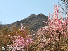 -北京鹫峰国家森林公园