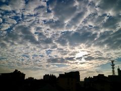 日落-上海市位育初级中学