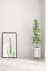 -SKINIST丽铂医疗美容