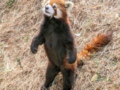 -宁波野生动物园