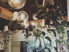 店内布置-柴务处·柴犬主题狗咖