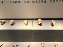 -荆州博物馆